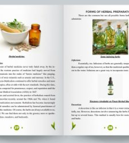 The Book Of Natural Remedies For Beginners