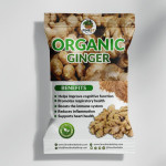 Finest Herbal Shop Organic Ginger