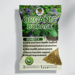 Organic Borage