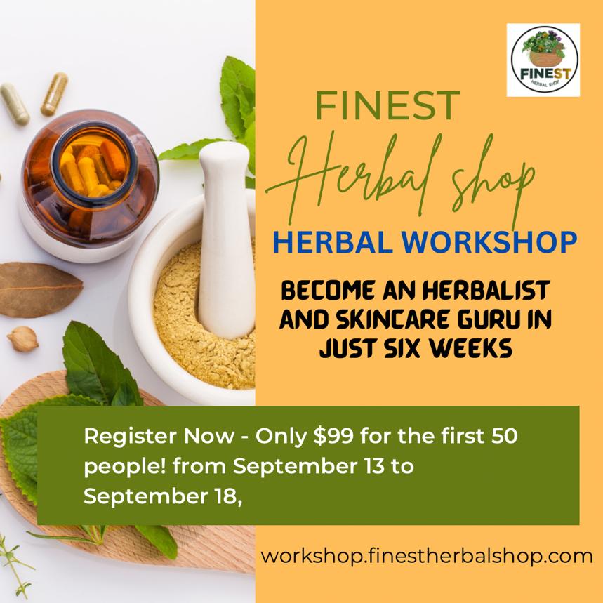 My experience during the last Six Weeks Herbalism and Natural Skincare Workshop by Finest Herbal Shop