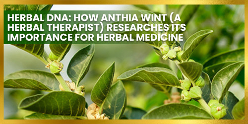 Herbal DNA: How Anthia Wint (A Herbal Therapist) Researches Its Importance For Herbal Medicine