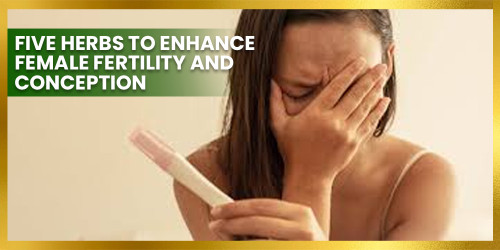 Five Herbs to Enhance Female Fertility and Conception