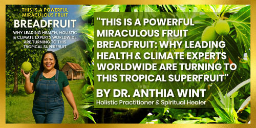 "This is a powerful Miraculous fruit Breadfruit: Why Leading Health & Climate Experts Worldwide Are Turning to This Tropical Superfruit"