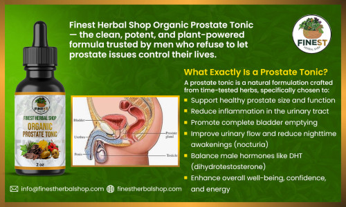 Holistic Guide to Prostate Health and the Proven Herbal Formula Men Are Raving About