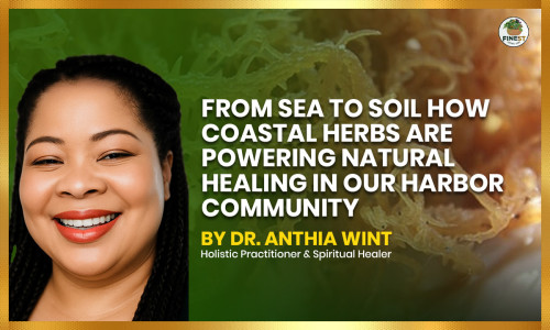 From Sea to Soil How Coastal Herbs Are Powering Natural Healing in Our Harbor Community