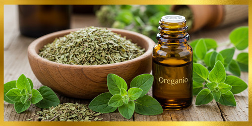 Oregano Herb: A Natural Powerhouse for Antioxidant and Antimicrobial Support