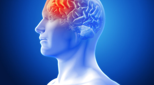 Unlock Your Full Mental Potential  Discover the Finest Herbal Shop’s Focus Formula – The Natural Nootropic for Brain, Memory, Vision, and Mood