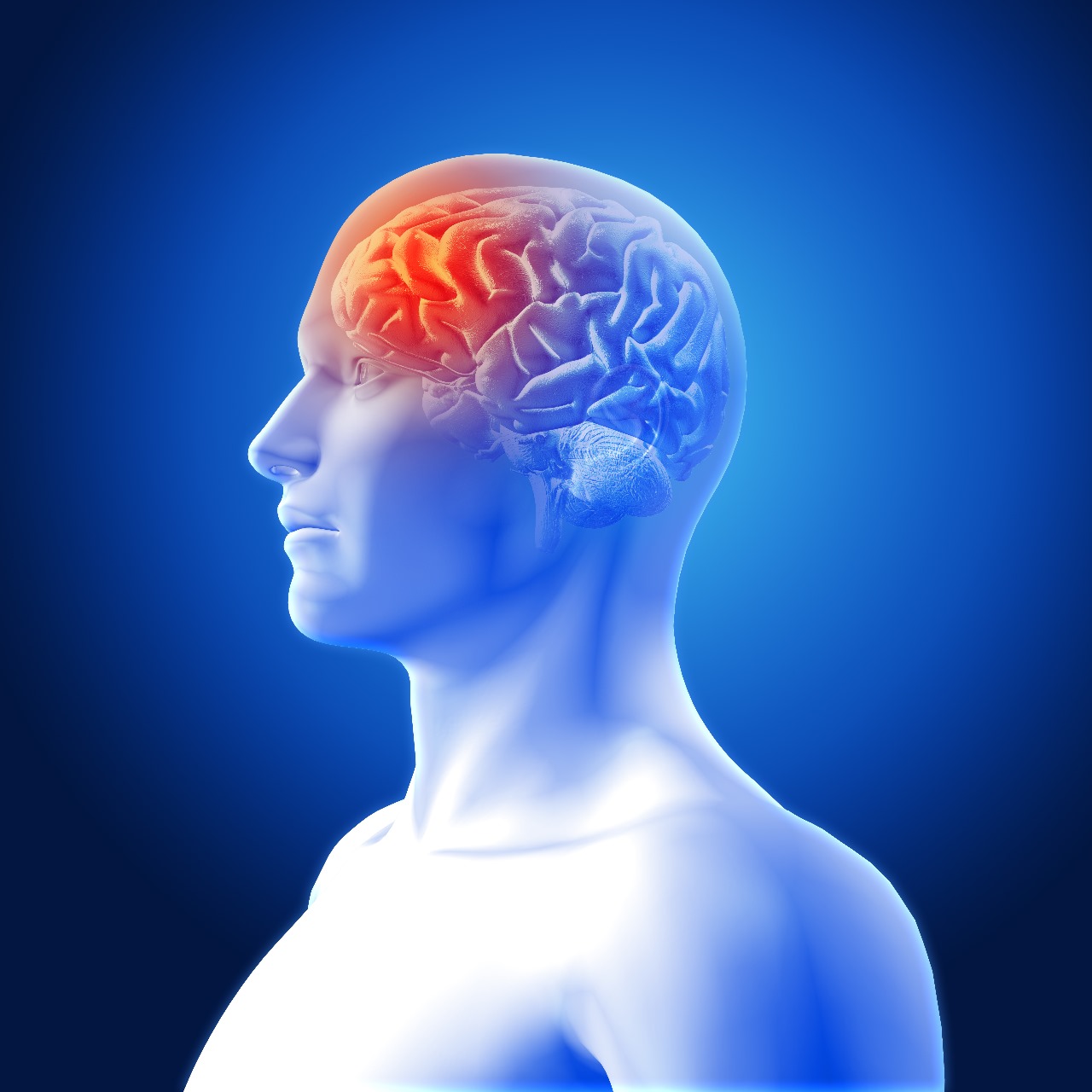 Unlock Your Full Mental Potential  Discover the Finest Herbal Shop’s Focus Formula – The Natural Nootropic for Brain, Memory, Vision, and Mood