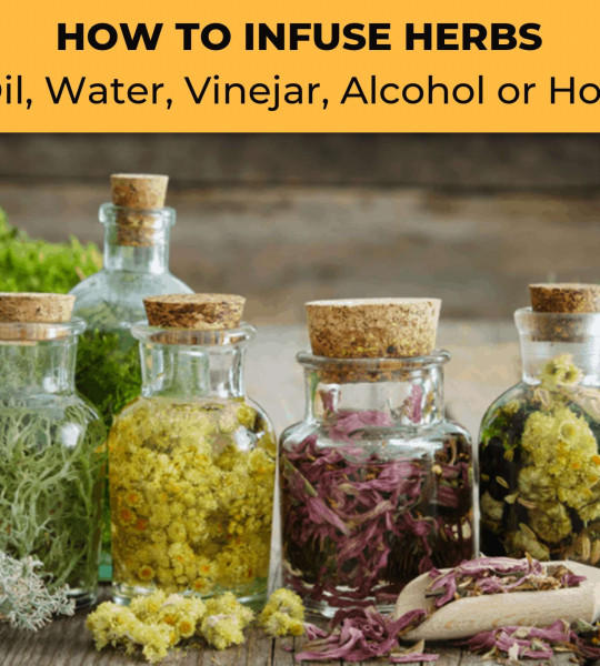 Advance Herbalism Course
