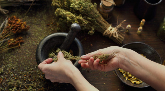 The Core Principle Of Using Herbs To Heal All Illnesses,Remember Knowledge is A Key,Let’s Connect with The Right Key