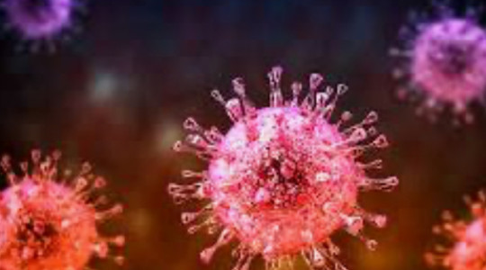 In-Depth Knowledge of HIV, Viruses, and Herpes: A Comprehensive Resource for Prevention, Natural Healing Methods,and Wellness Optimization