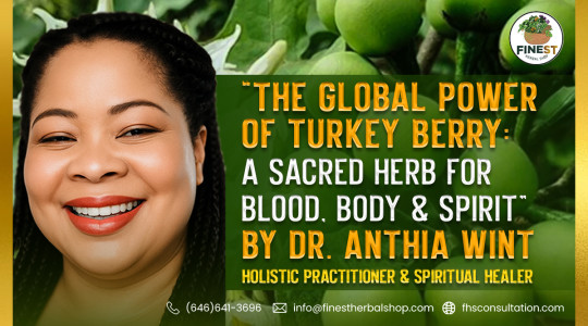 “The Global Power of Turkey Berry: A Sacred Herb for Blood, Body & Spirit”