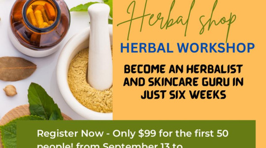 My experience during the last Six Weeks Herbalism and Natural Skincare Workshop by Finest Herbal Shop